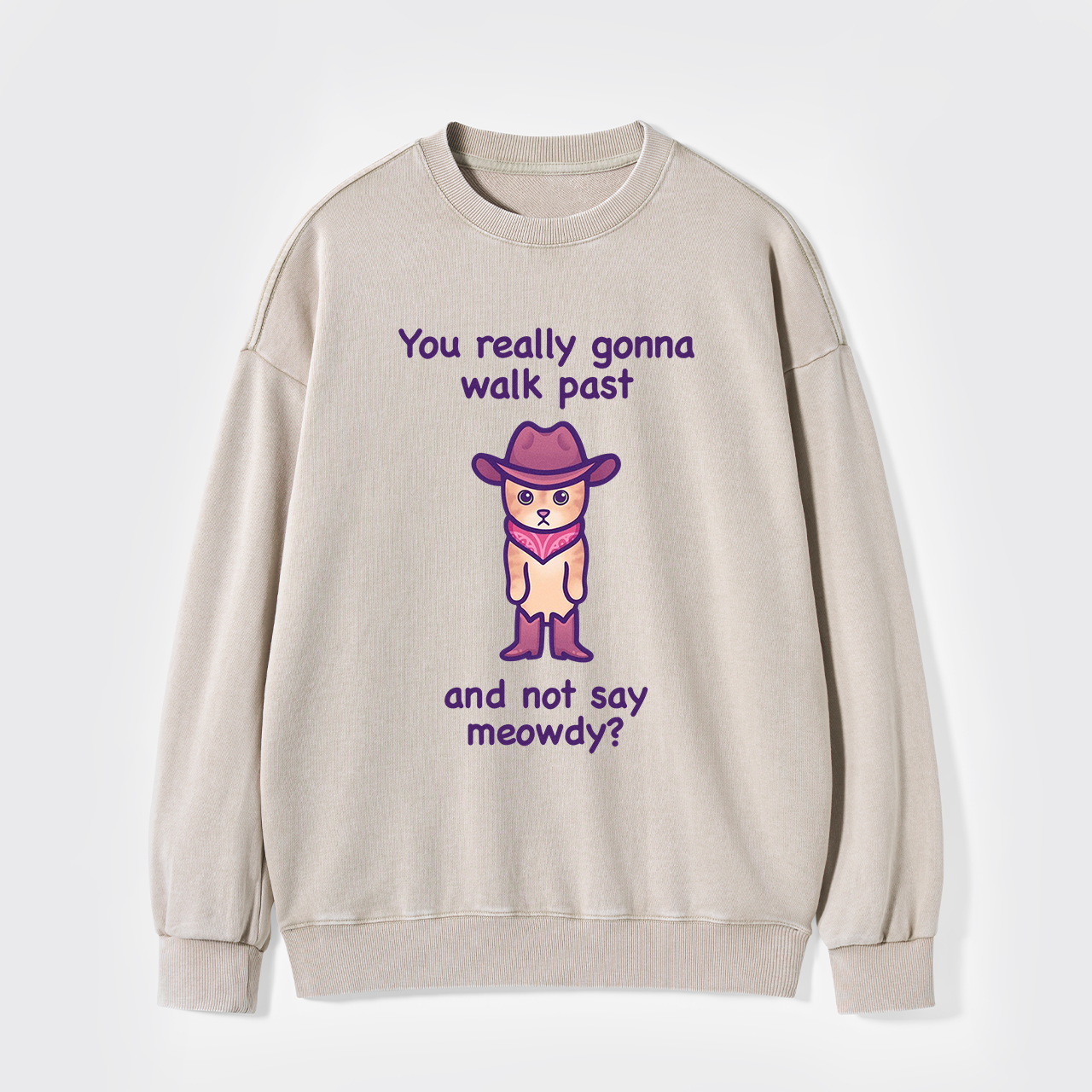 You Really Gonna Walk Past And Not Say Meowdy Washed Sweatshirts