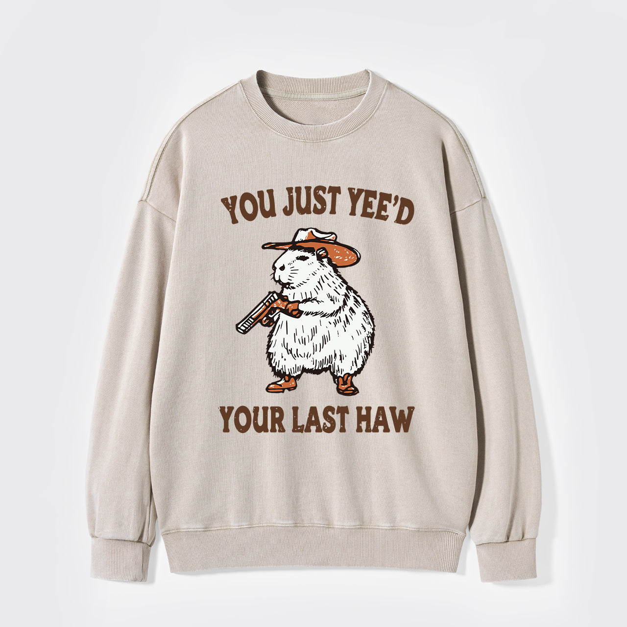 You've Lost Your Last Chance Washed Sweatshirts