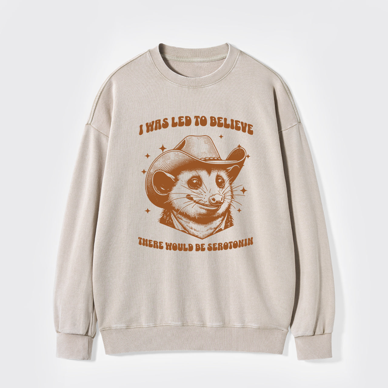 I Was Led To Believe Be Seratonin Washed Sweatshirts