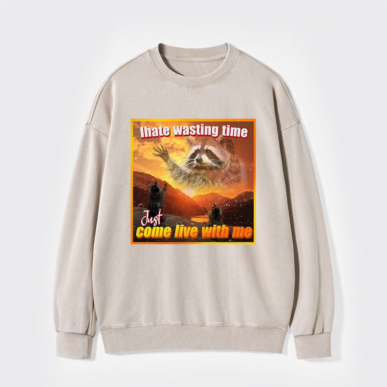 I Hate Wasting Time Just Come Live With Me Washed Sweatshirts