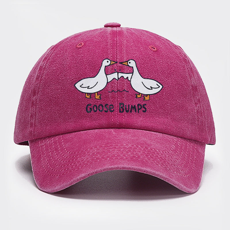 Goose Bump Embroidered Baseball Cap