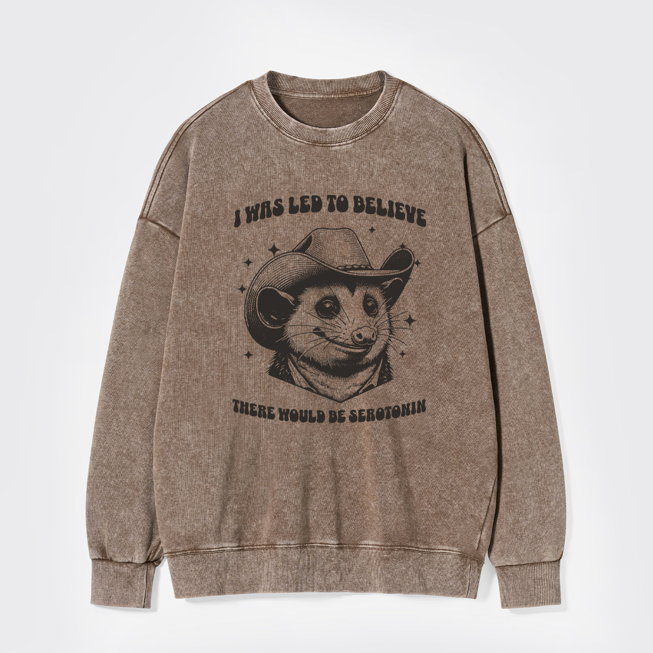 I Was Led To Believe Be Seratonin Washed Sweatshirts