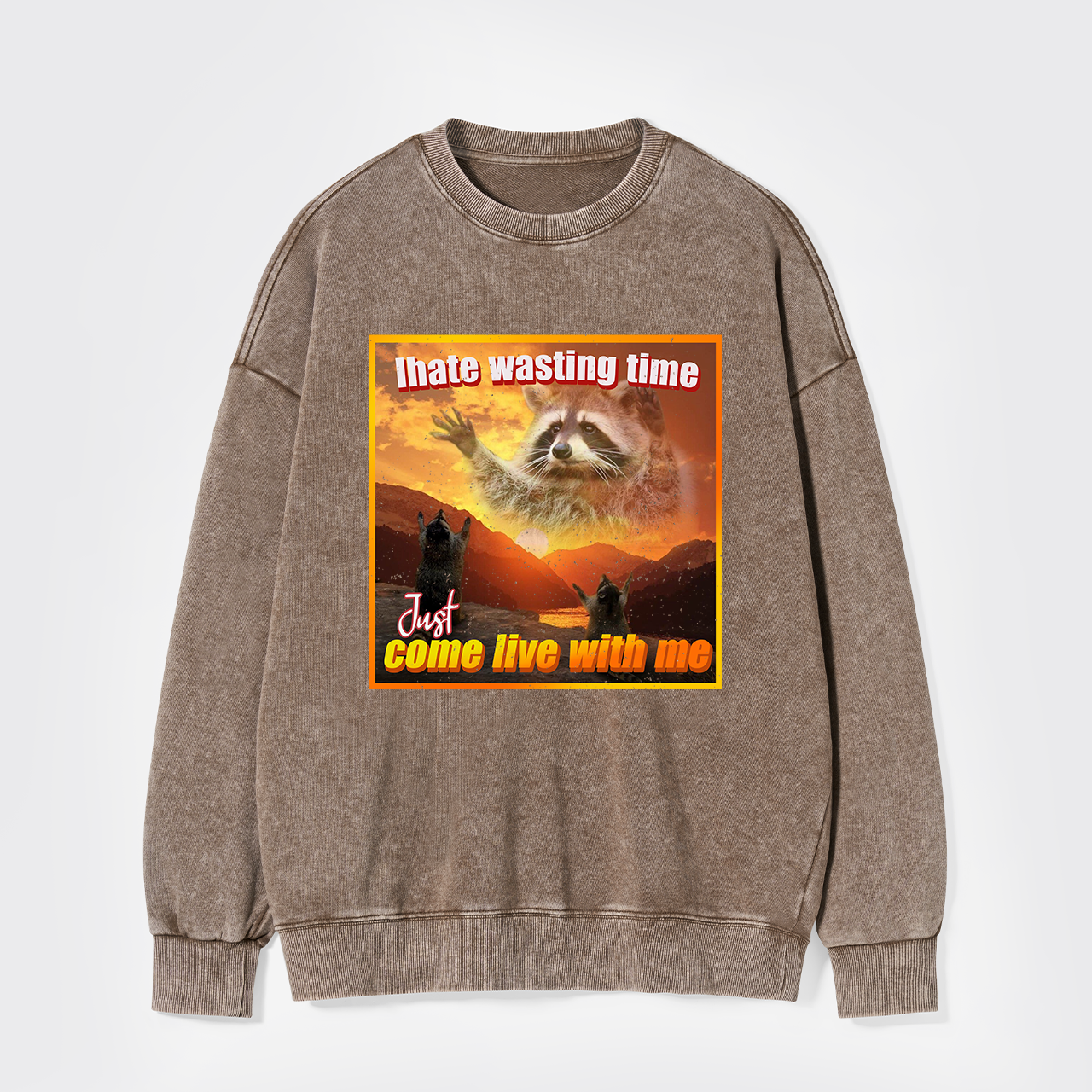 I Hate Wasting Time Just Come Live With Me Washed Sweatshirts