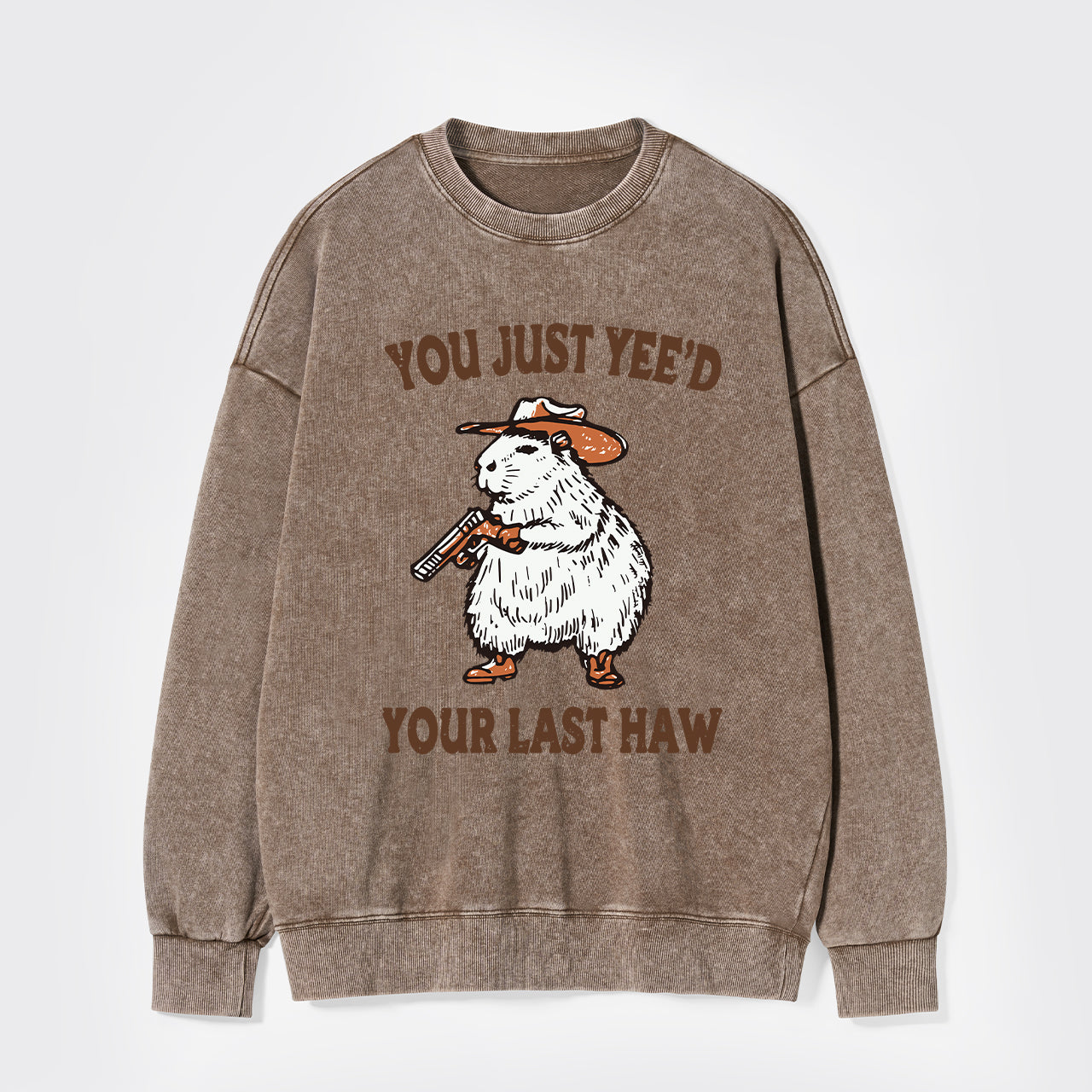 You've Lost Your Last Chance Washed Sweatshirts