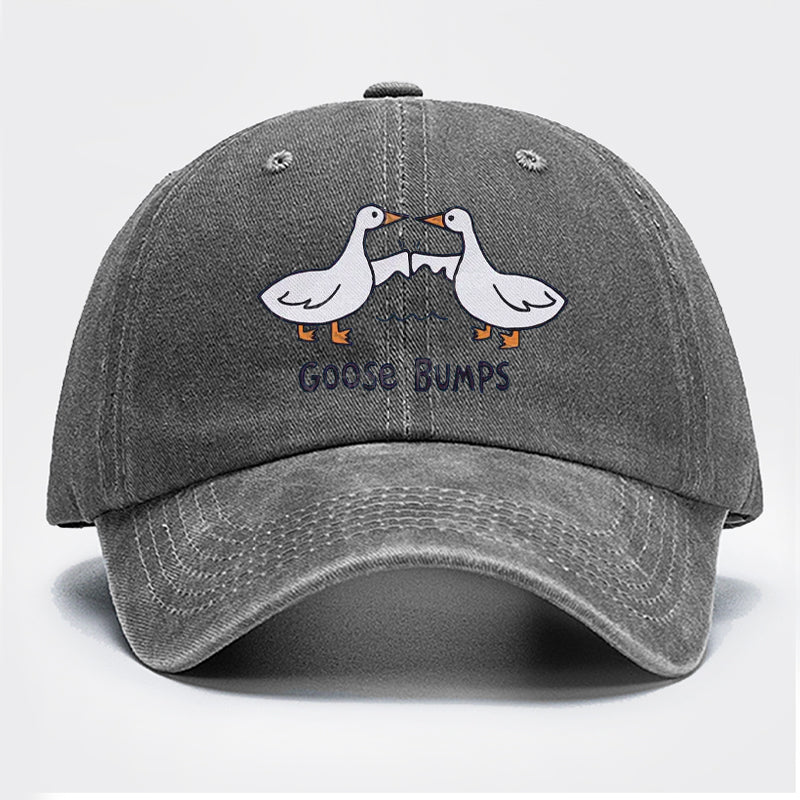 Goose Bump Embroidered Baseball Cap
