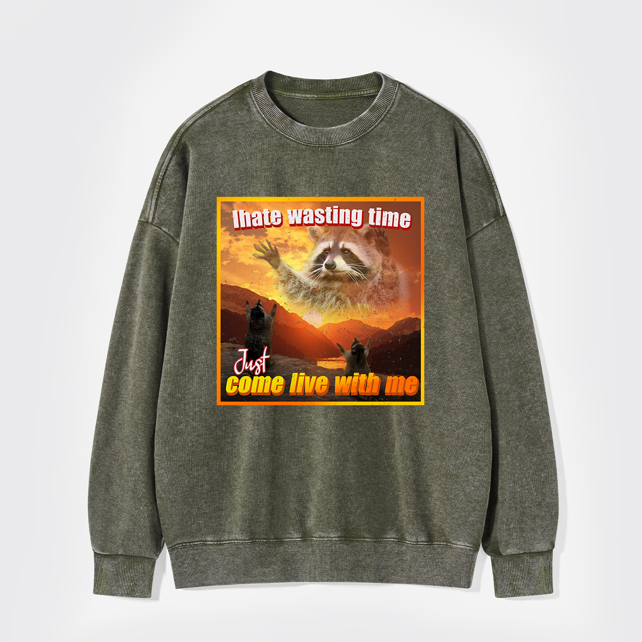 I Hate Wasting Time Just Come Live With Me Washed Sweatshirts