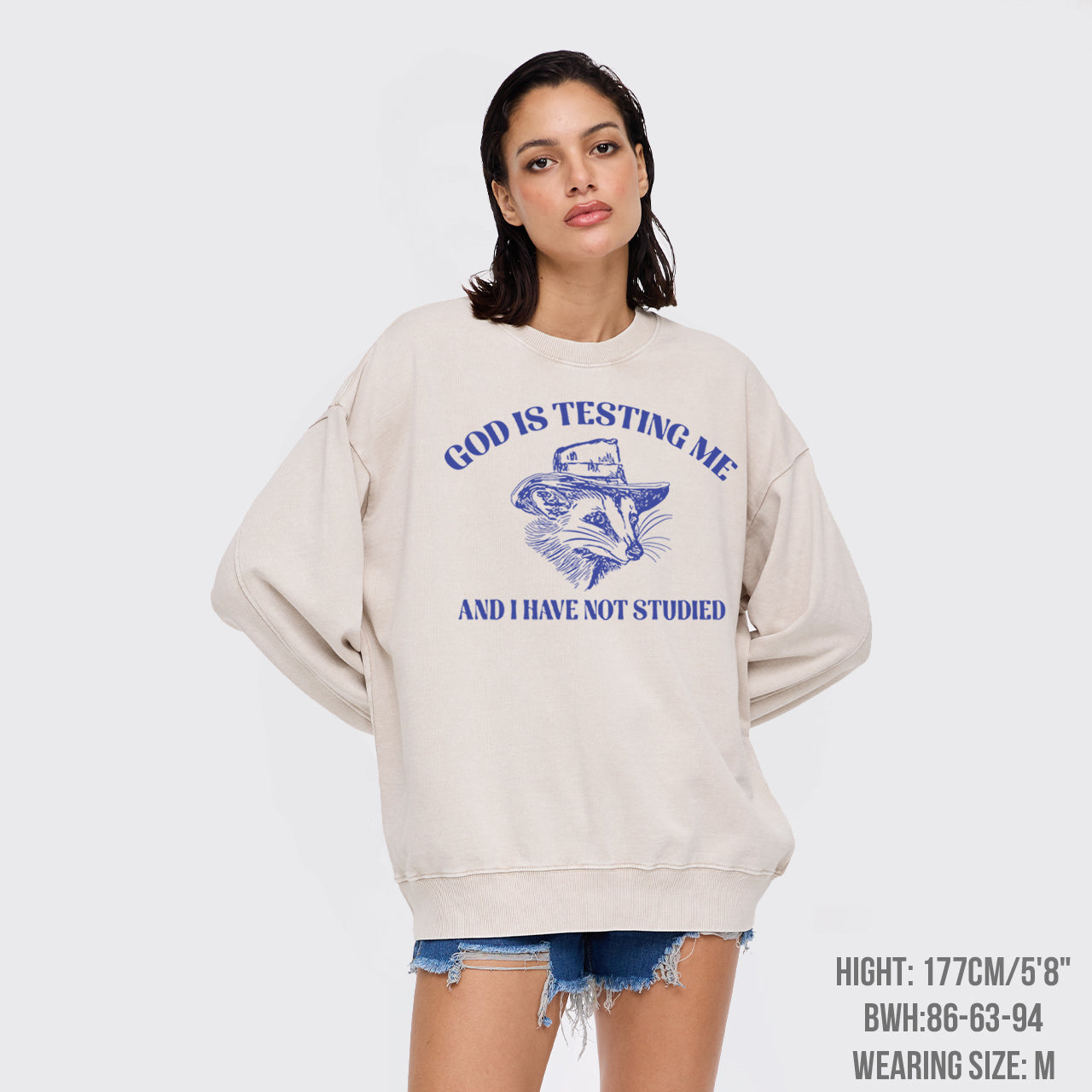 God Is Testing Me Funny Washed Sweatshirts