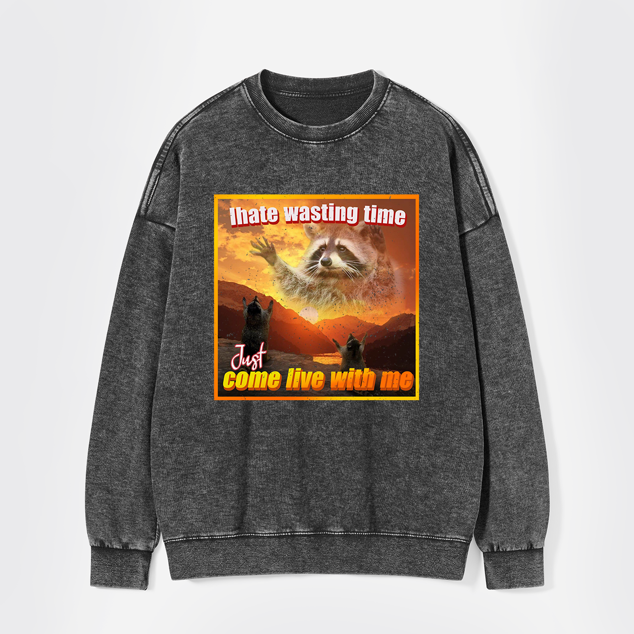 I Hate Wasting Time Just Come Live With Me Washed Sweatshirts
