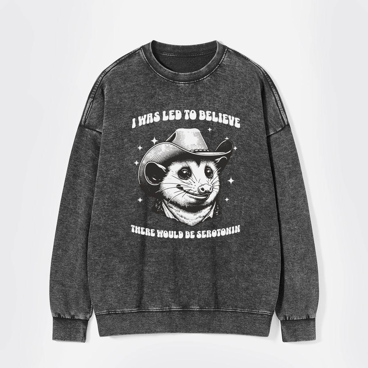 I Was Led To Believe Be Seratonin Washed Sweatshirts