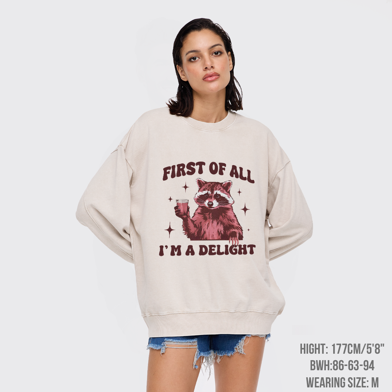 First Of All,I'm A Delight Washed Sweatshirts