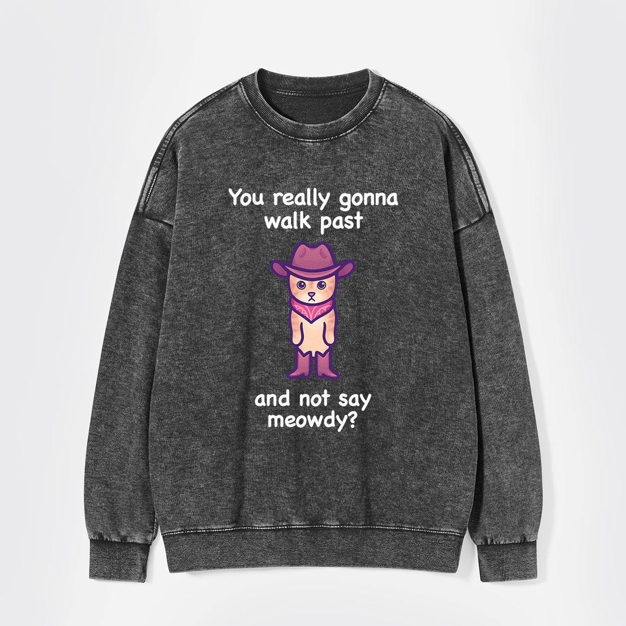 You Really Gonna Walk Past And Not Say Meowdy Washed Sweatshirts