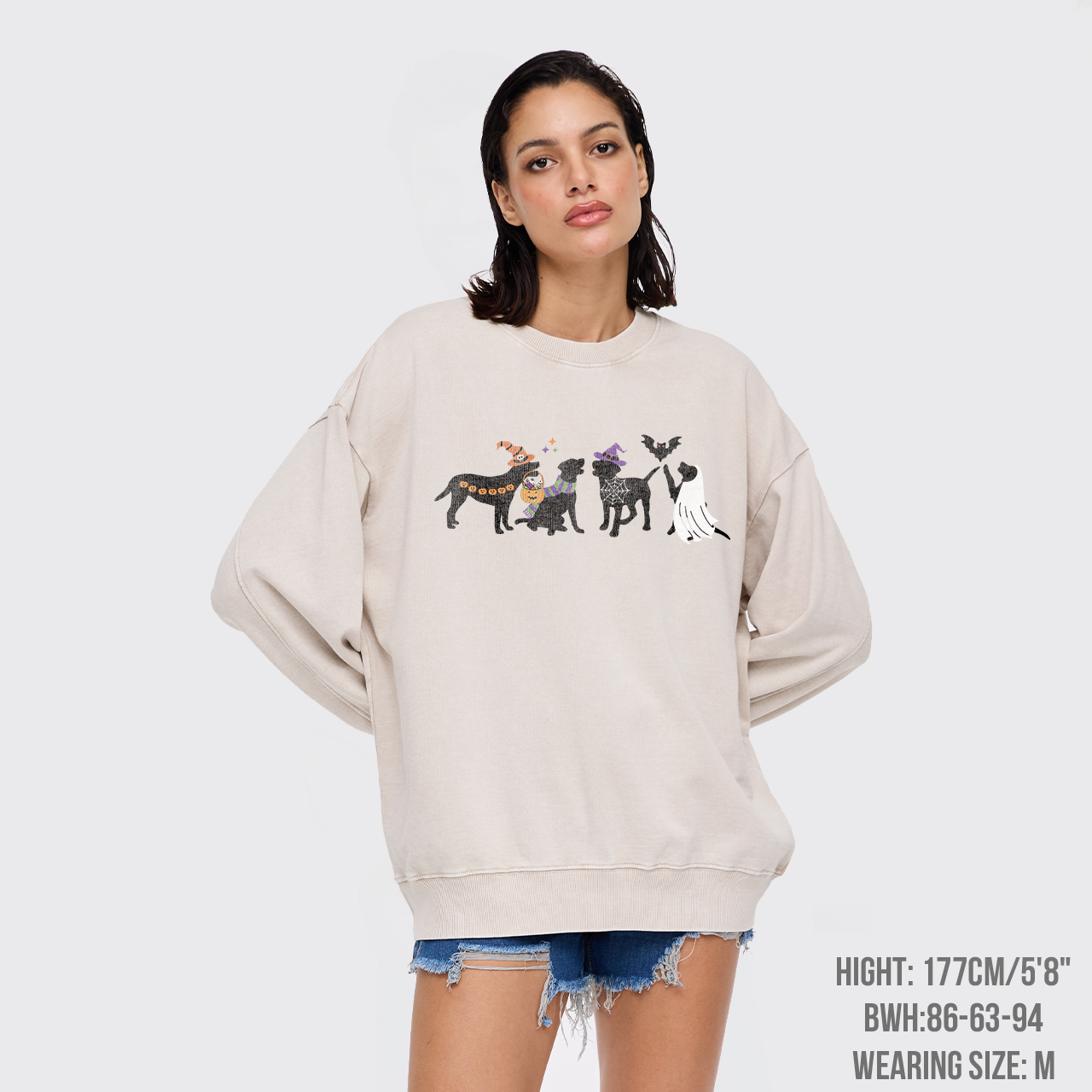 Halloween Dog Washed Sweatshirts