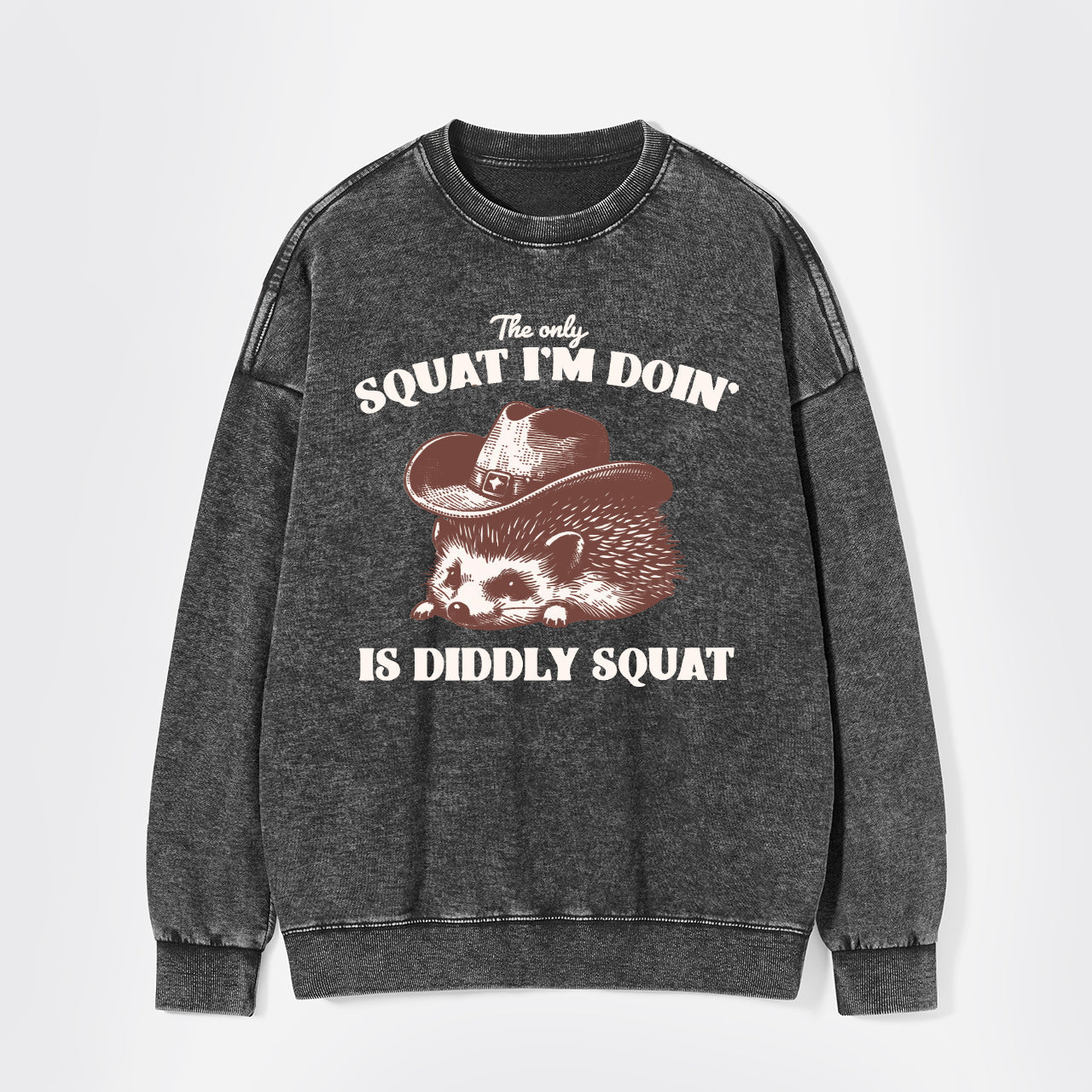 The Only Squat I'm Doing Is Diddly Squat Washed Sweatshirts
