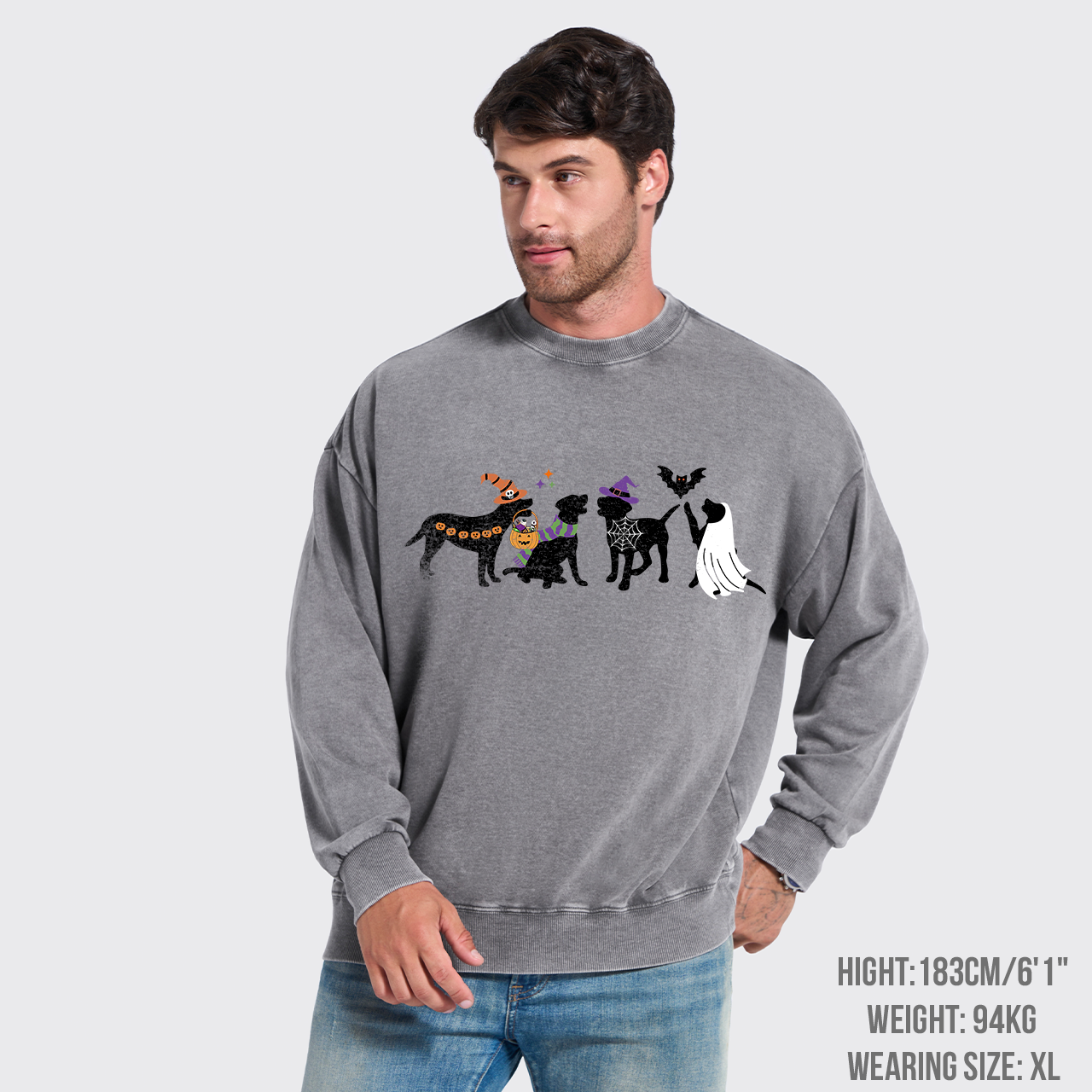Halloween Dog Washed Sweatshirts