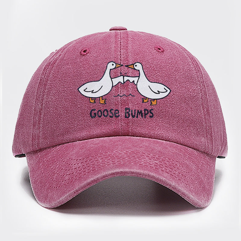 Goose Bump Embroidered Baseball Cap
