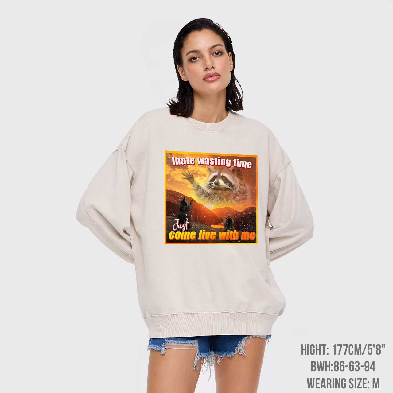 I Hate Wasting Time Just Come Live With Me Washed Sweatshirts