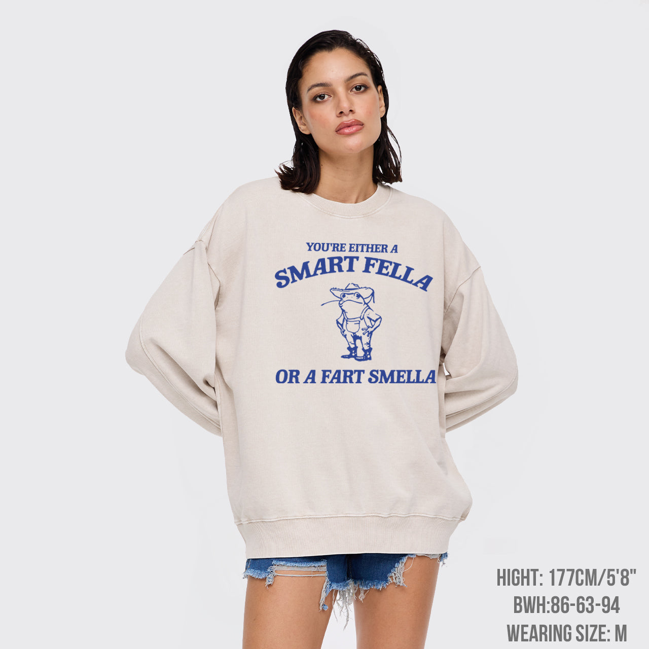 Are You A Smart Fella Or Fart Smella Washed Sweatshirts