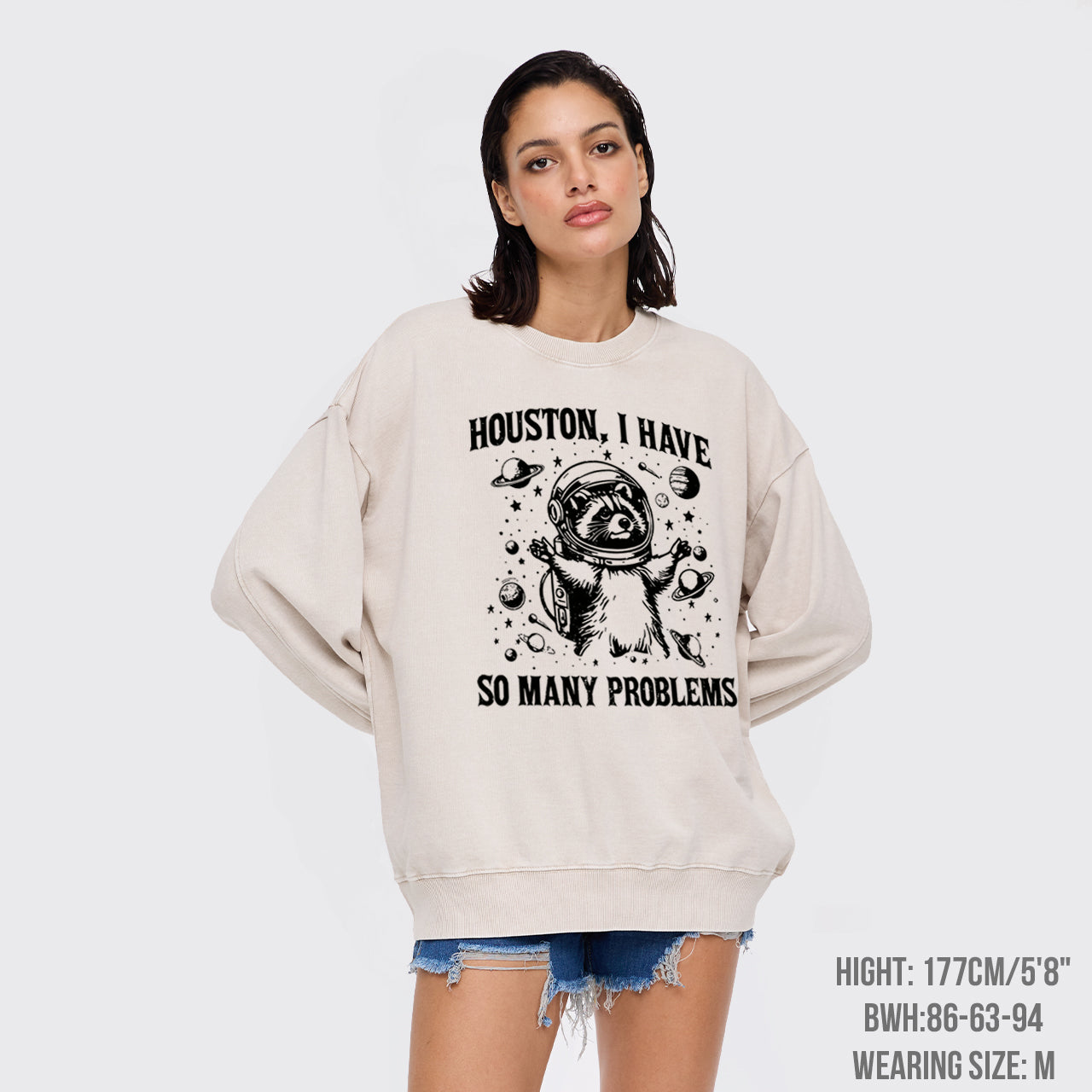 Space Explorer Washed Sweatshirts