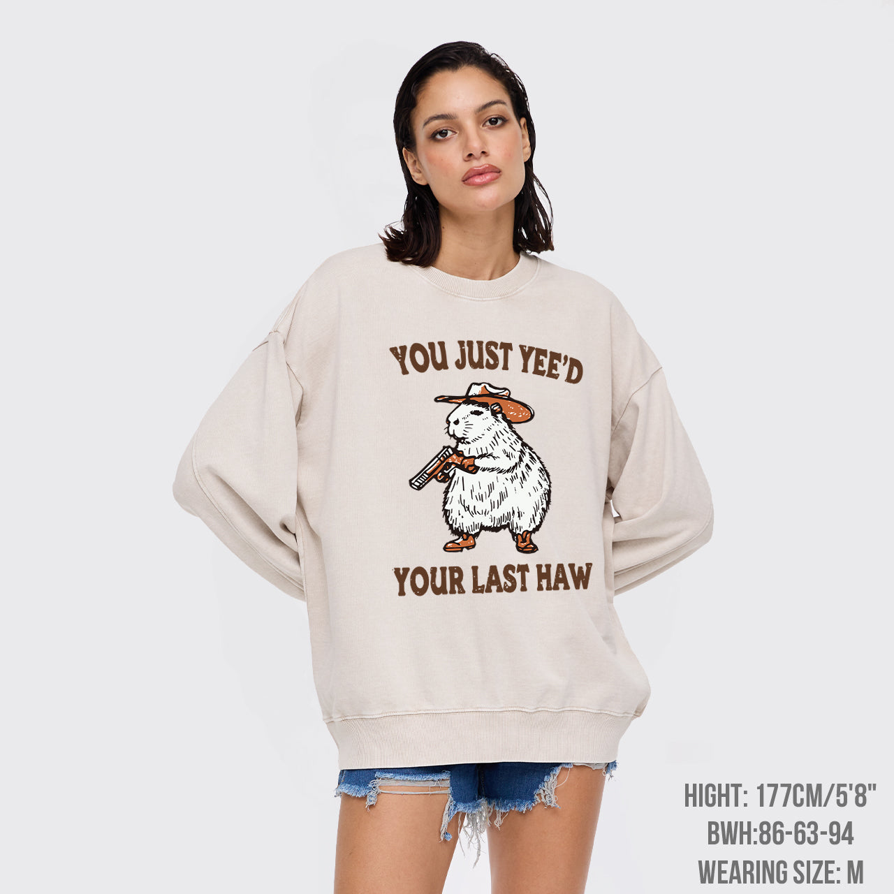 You've Lost Your Last Chance Washed Sweatshirts