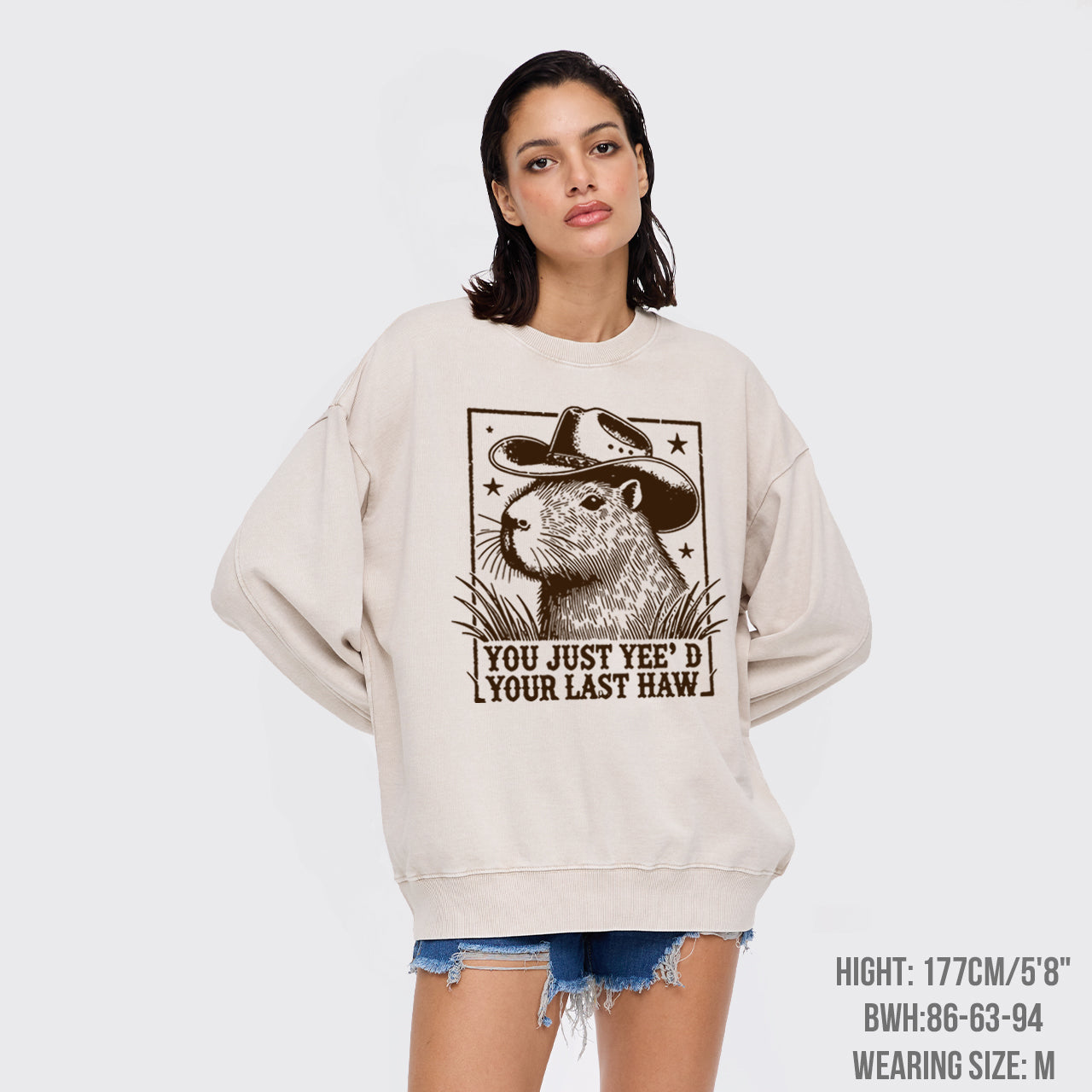 Goodbye, My Partner Washed Sweatshirts