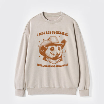 I Was Led To Believe Be Seratonin Washed Sweatshirts
