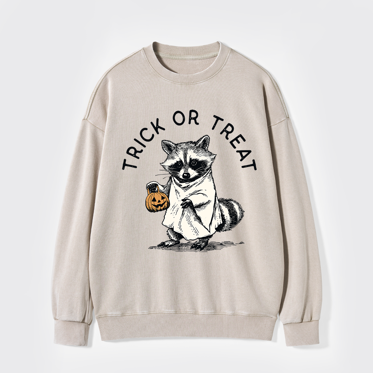 Trick Of Treat Washed Sweatshirts
