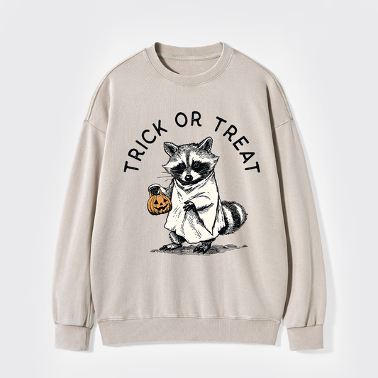 Trick Of Treat Washed Sweatshirts