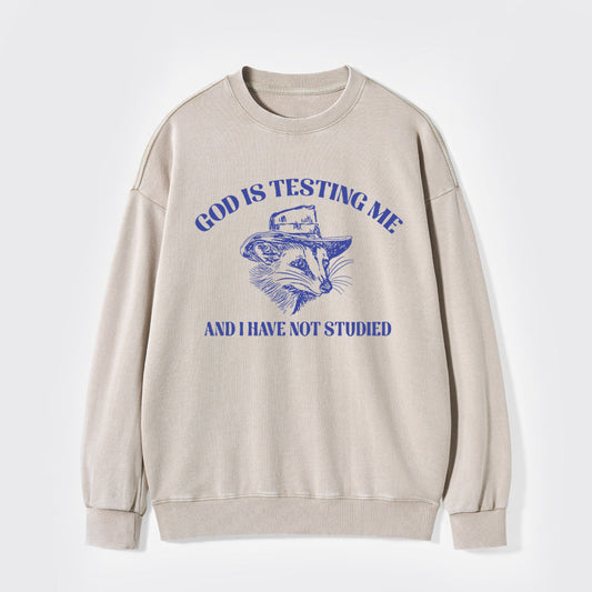 God Is Testing Me Funny Washed Sweatshirts