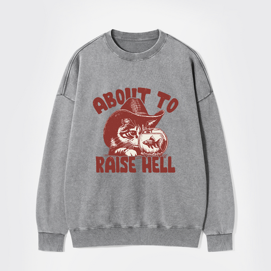 About To Raise Hell Washed Sweatshirts