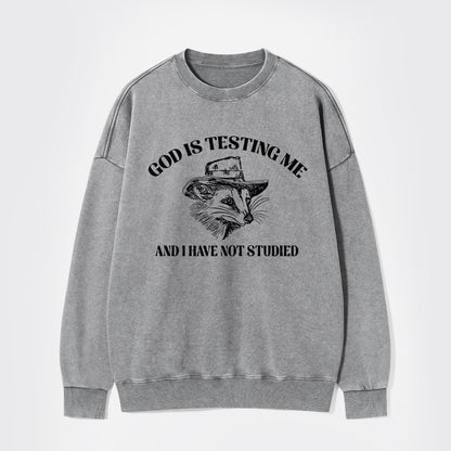 God Is Testing Me Funny Washed Sweatshirts