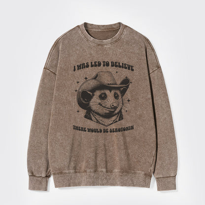 I Was Led To Believe Be Seratonin Washed Sweatshirts