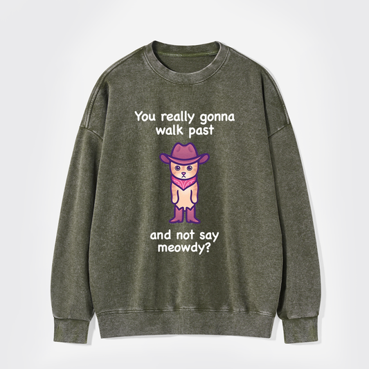 You Really Gonna Walk Past And Not Say Meowdy Washed Sweatshirts