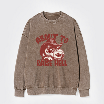 About To Raise Hell Washed Sweatshirts