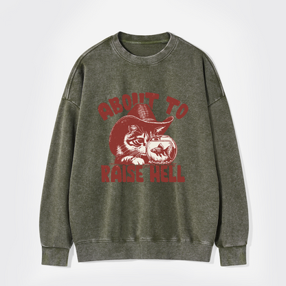 About To Raise Hell Washed Sweatshirts