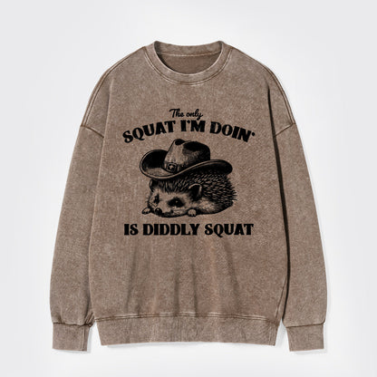 The Only Squat I'm Doing Is Diddly Squat Washed Sweatshirts
