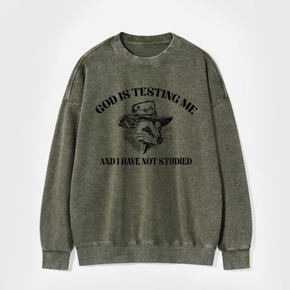 God Is Testing Me Funny Washed Sweatshirts
