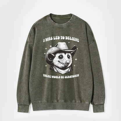 I Was Led To Believe Be Seratonin Washed Sweatshirts