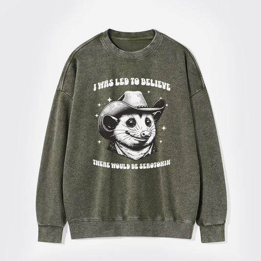 I Was Led To Believe Be Seratonin Washed Sweatshirts