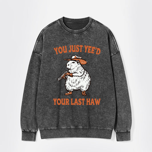 You've Lost Your Last Chance Washed Sweatshirts