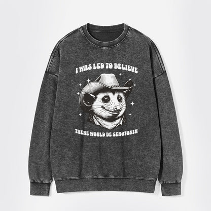 I Was Led To Believe Be Seratonin Washed Sweatshirts