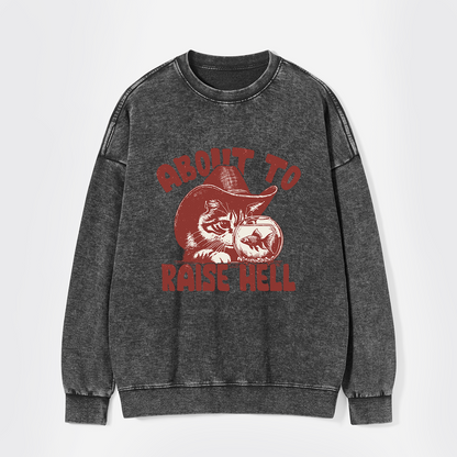 About To Raise Hell Washed Sweatshirts