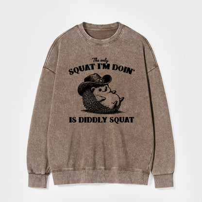 The Only Squat I'm Doing,Is Diddly Squat Washed Sweatshirts
