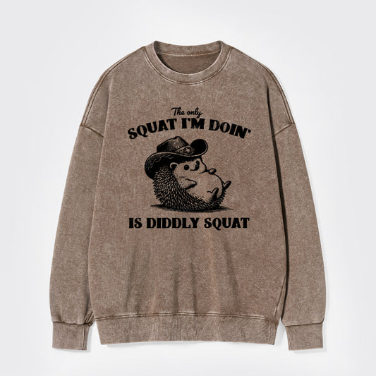 The Only Squat I'm Doing,Is Diddly Squat Washed Sweatshirts