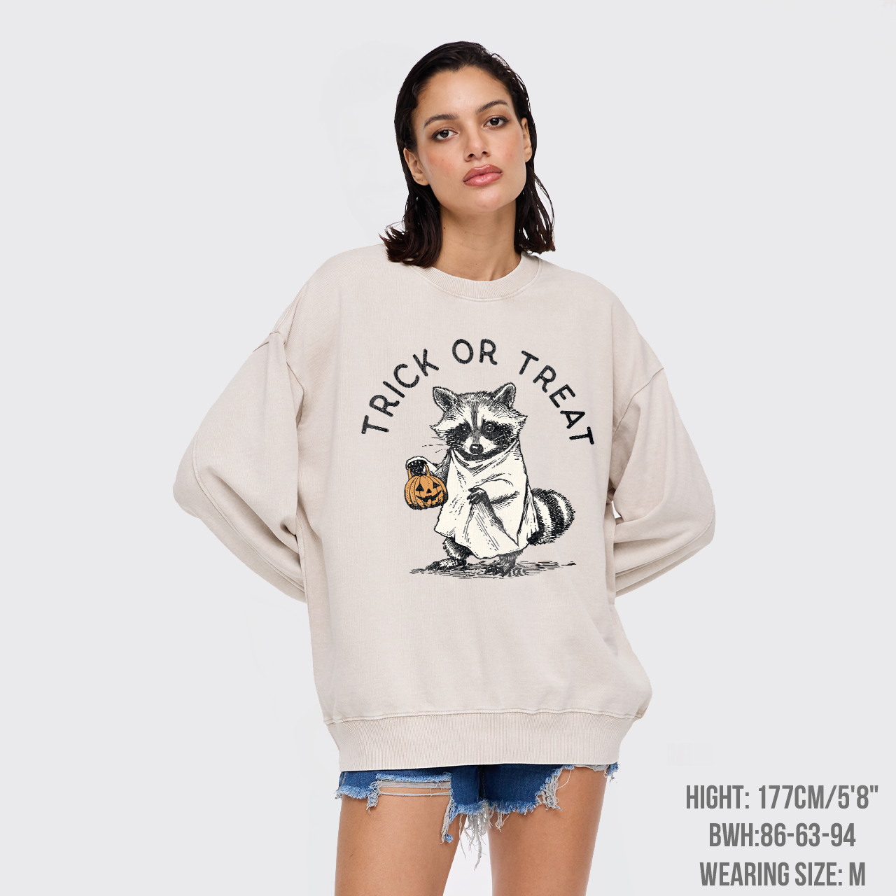 Trick Of Treat Washed Sweatshirts