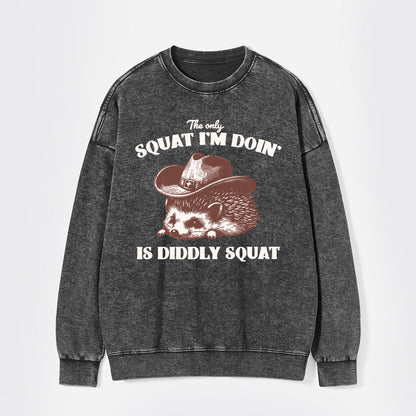 The Only Squat I'm Doing Is Diddly Squat Washed Sweatshirts