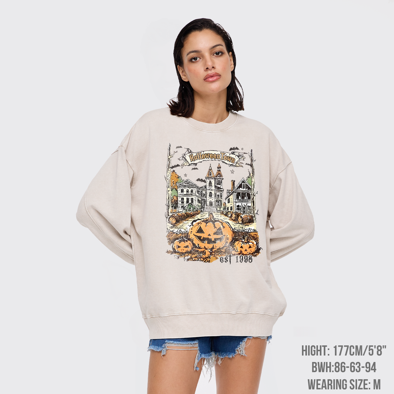 Welcome To Your Arrival Washed Sweatshirts